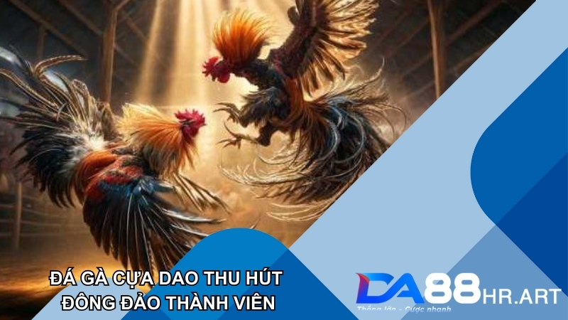 Trận đấu cựa dao thu hút đông đảo thành viên tại DA88